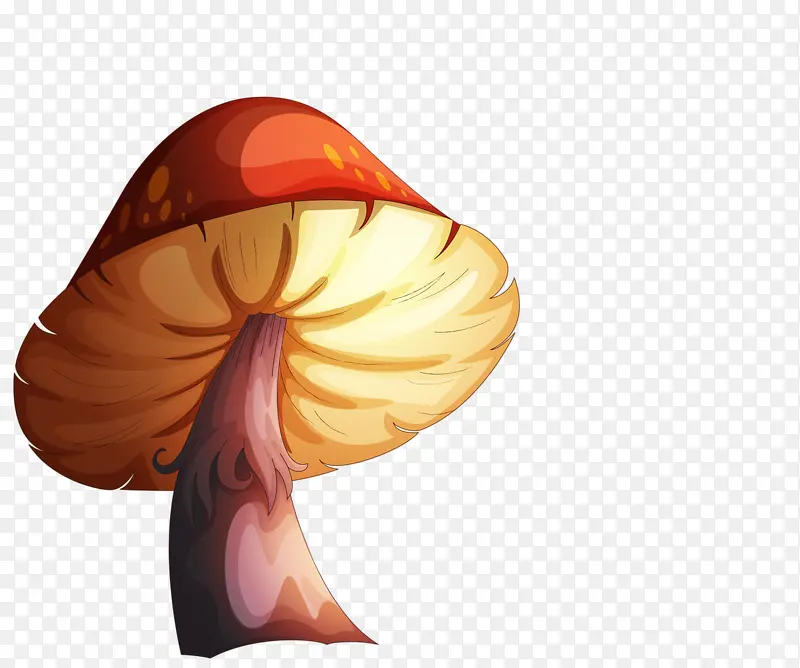 �ֻ�Ģ��-������