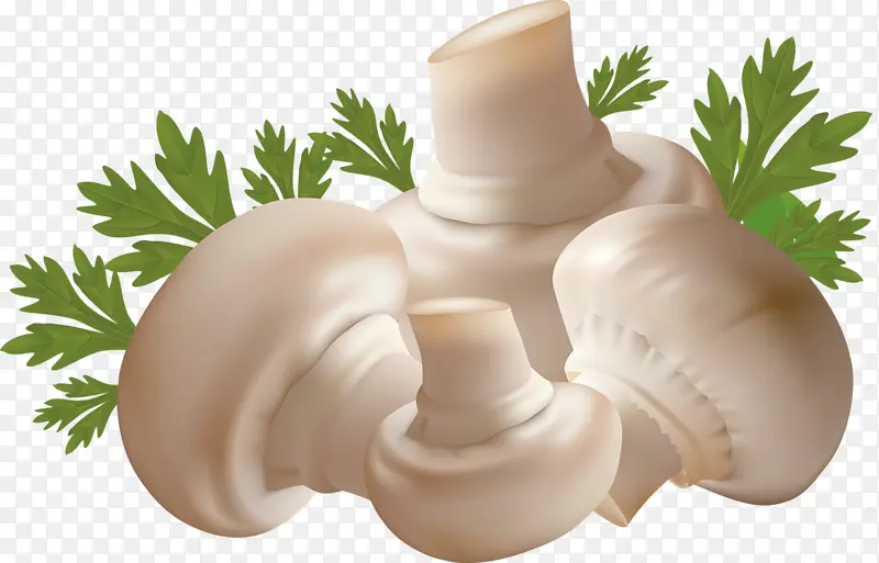 ��ɫĢ���ֻ�-������