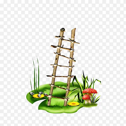 ��ͨ���Ӻ�ɫĢ���̲�-������