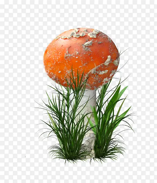 �̲�Ģ��png�ز�-������