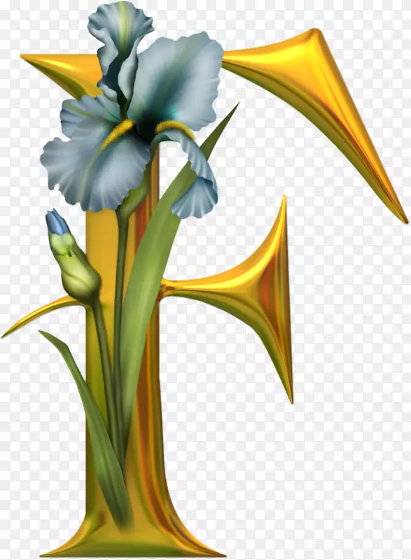 ��ĸ��ĸ��f��������-f-������