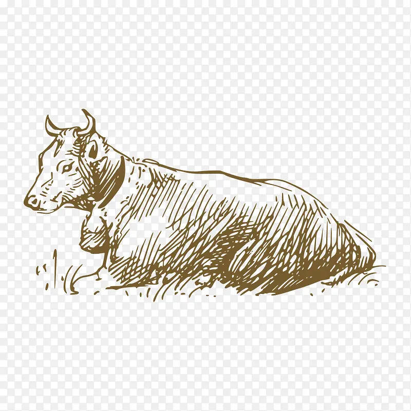 �ֻ�-������