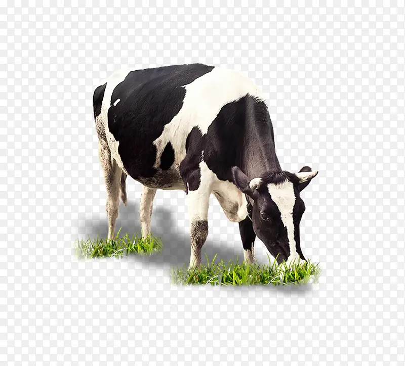 ţ�Բ�-������