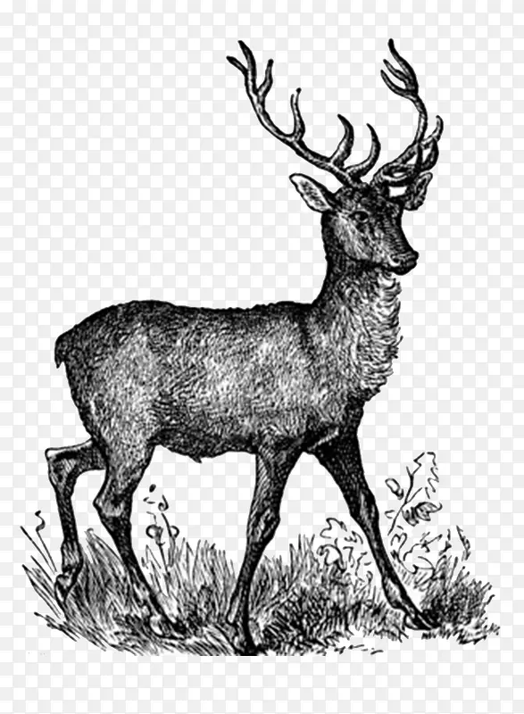 ����-������