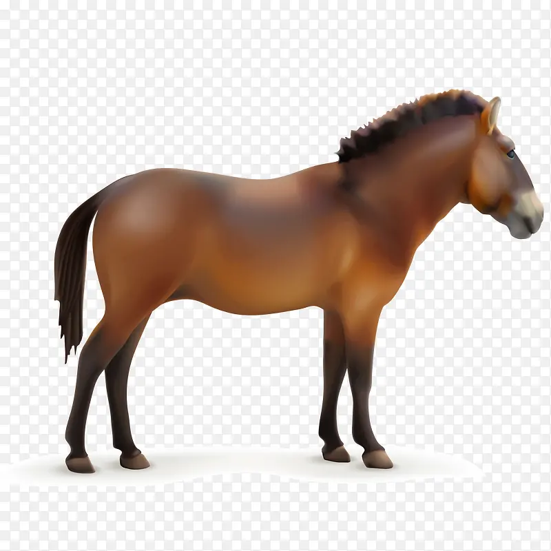 ��ͨ��PNG����-������