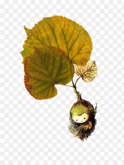 �廭-������