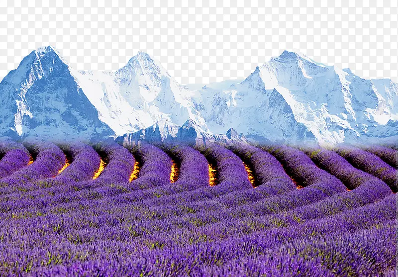 ޹�²ݺ�ѩɽ-������