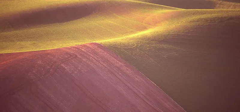 ����ɽ����Ӱ-������