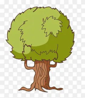 ��ͨ��ľ-������