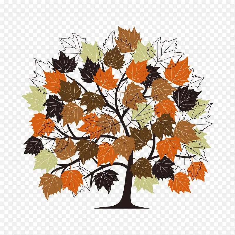 ��ͨ���ز�-������