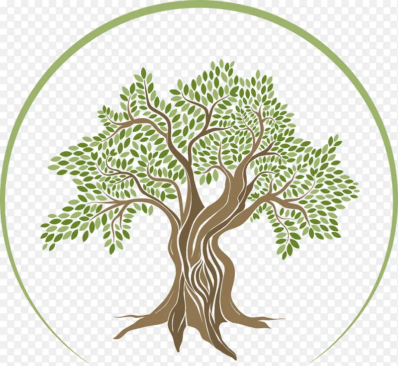 ʸ����ɫ��ľ-������