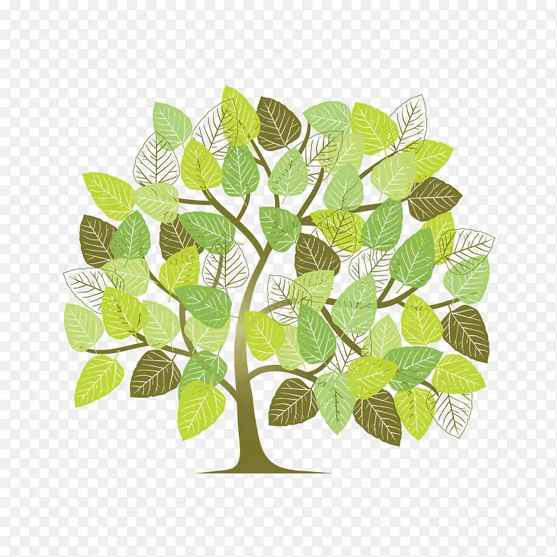 ��ͨ���ز�-������