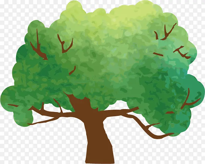 ��ͨ���ز�-������