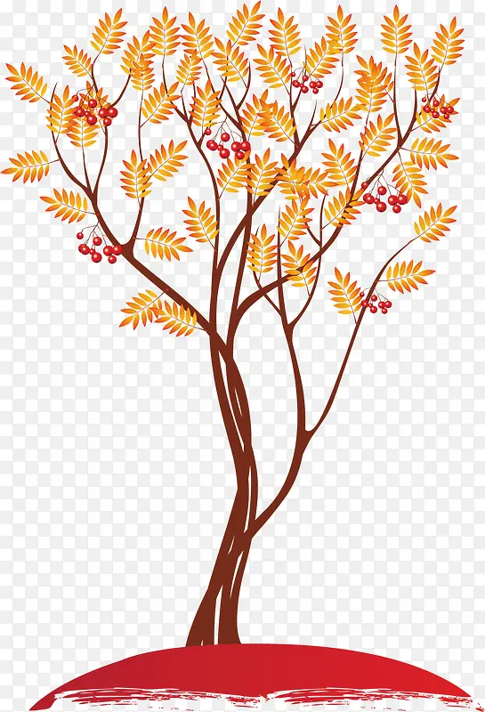 ��ͨ��-������