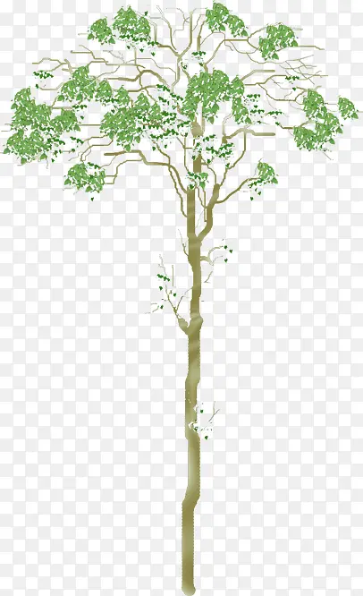 ��ͨ�ֻ���-������