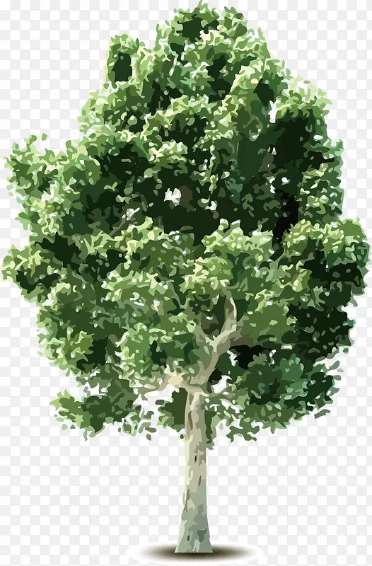 ��ͨ��-������