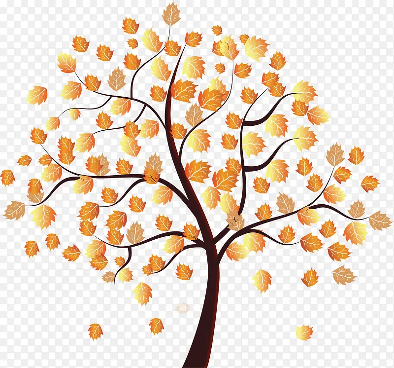 ��ͨ������-������