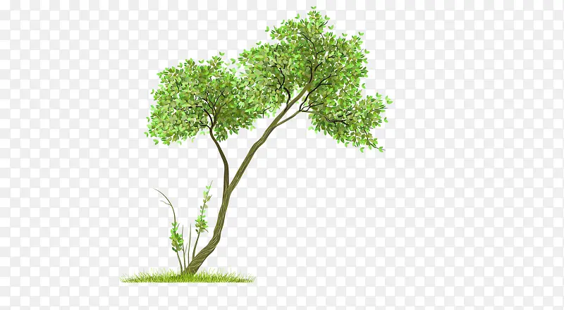 �ֻ���ľ-������