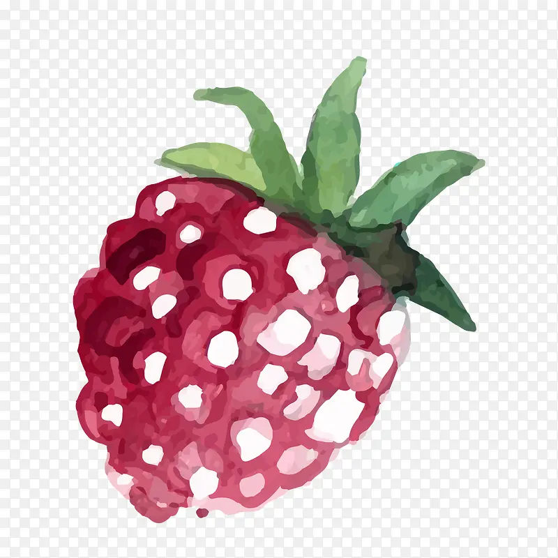 ʸ����ͨˮ����ݮpng-������