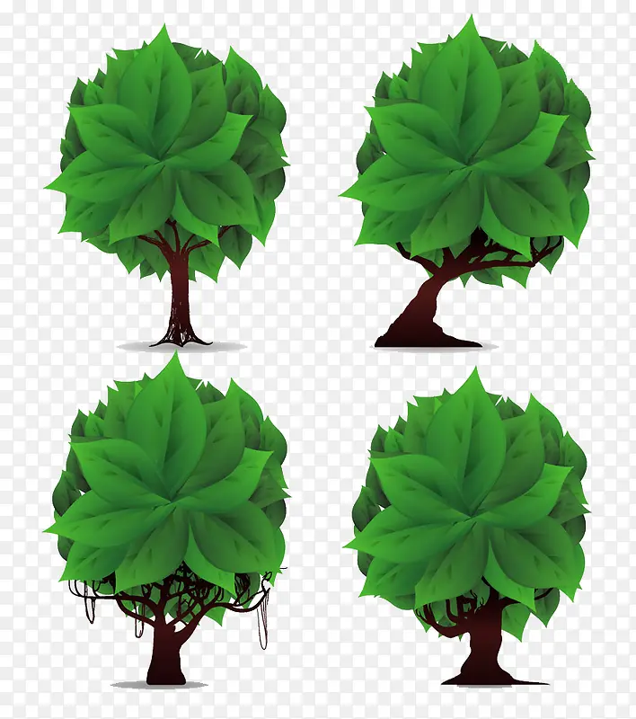 ��ͨ��Ҷ��ľ-������