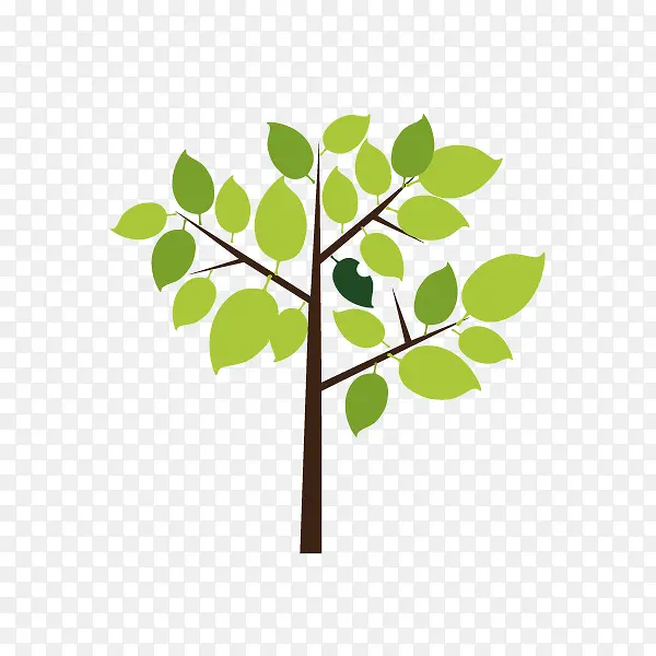 �ɰ���ɫС��-������