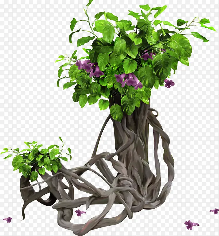 ��ͨ����-������