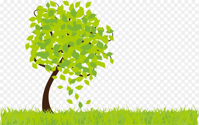 ��ͨ����С��-������