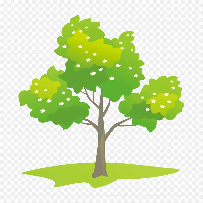 ��ͨС��-������