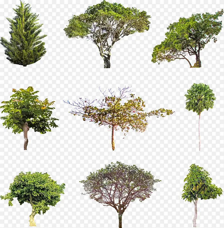 ʸ����ͨС��-������