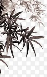 ˮ���ֻ�ë����Ҷ-������