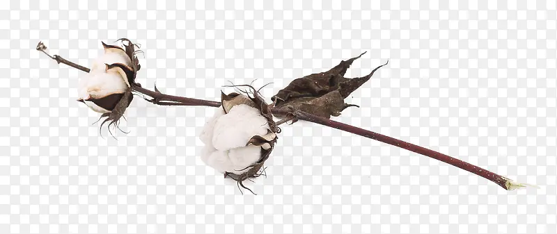 �ֻ��ɫ�޻�ֲ��-������