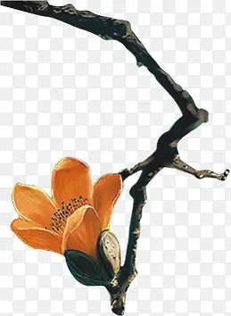 ľ�޻�-������