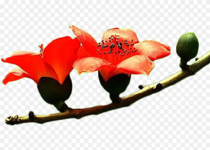 ��ɫľ�޻�����-������