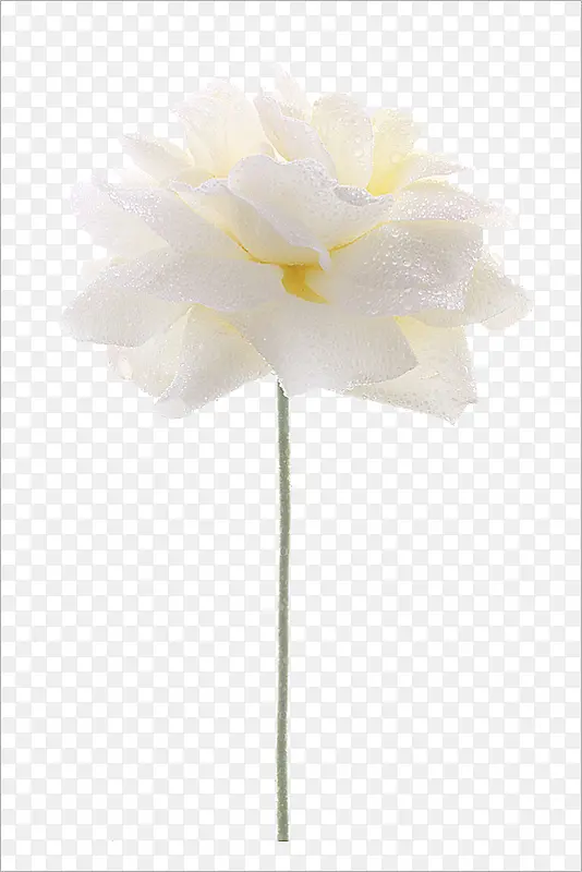 ��ɫ����ͼ��-������