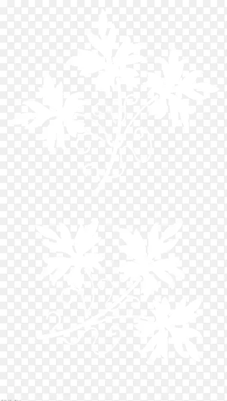 ��ɫ����-������