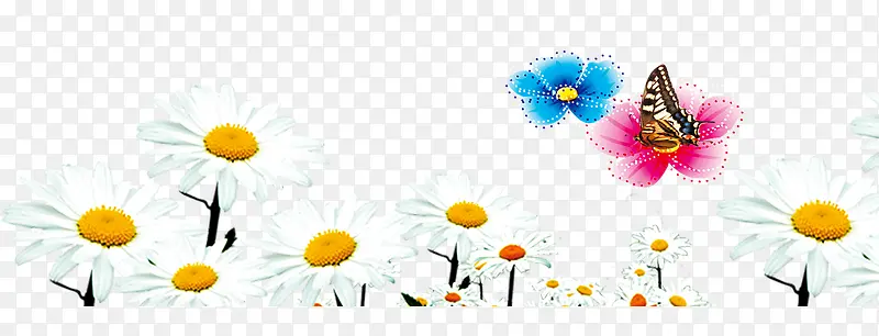 С��ɫ����-������