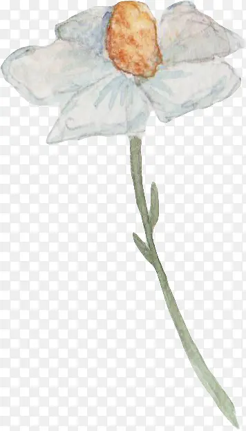 ��ɫˮ�ʻ���-������