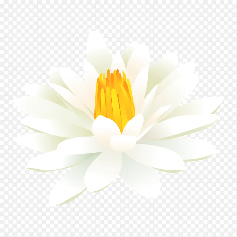 ��ɫ���ز�-������