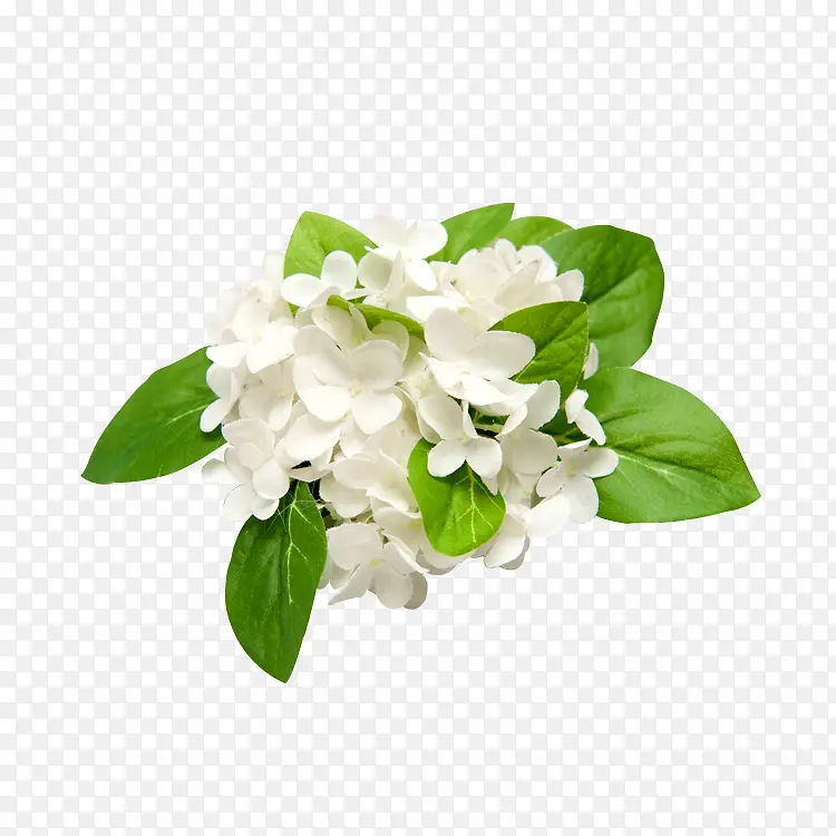 ��ɫ�Ļ�-������