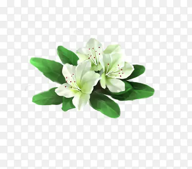 ��ɫ�ž黨-������