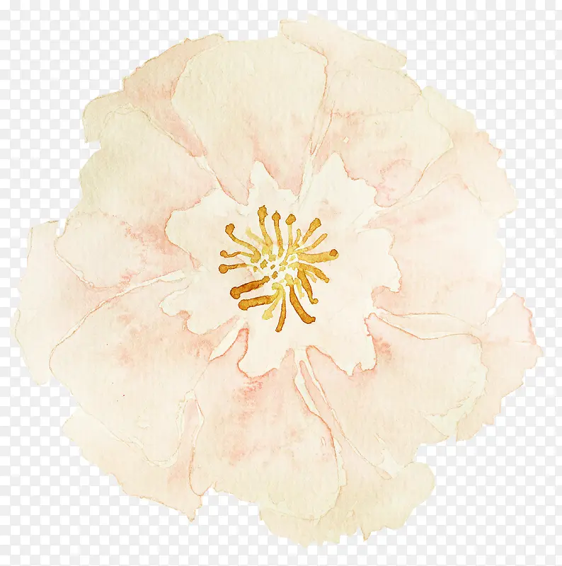 �ֻ滨��-������