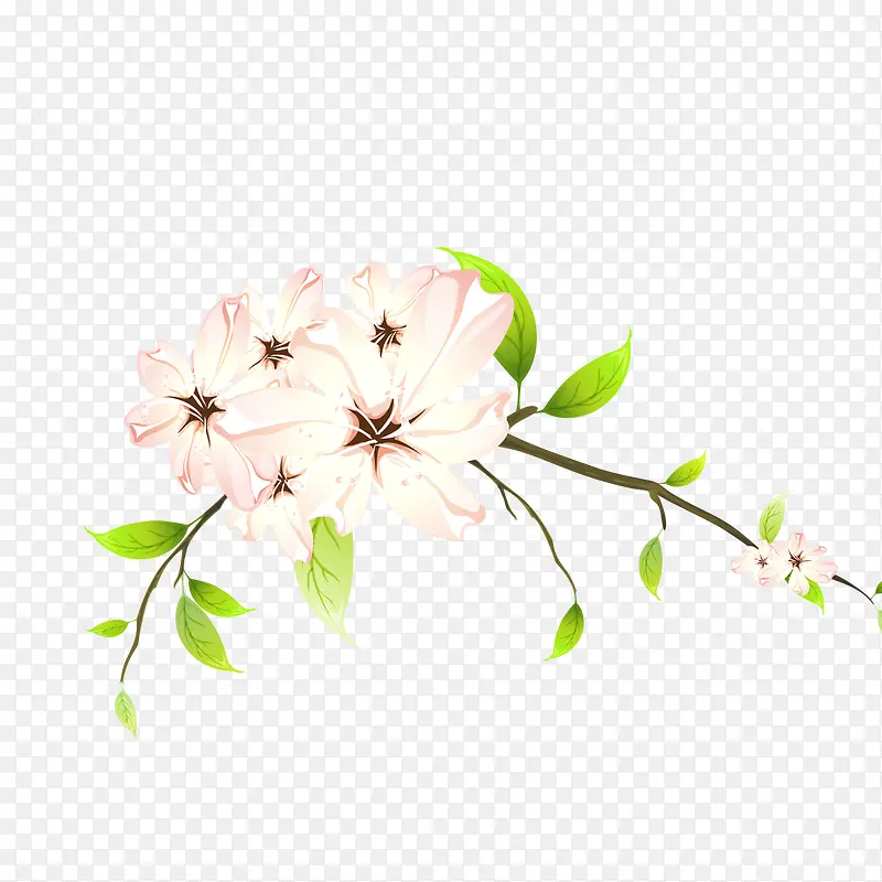 ʢ���İ�ɫ����-������