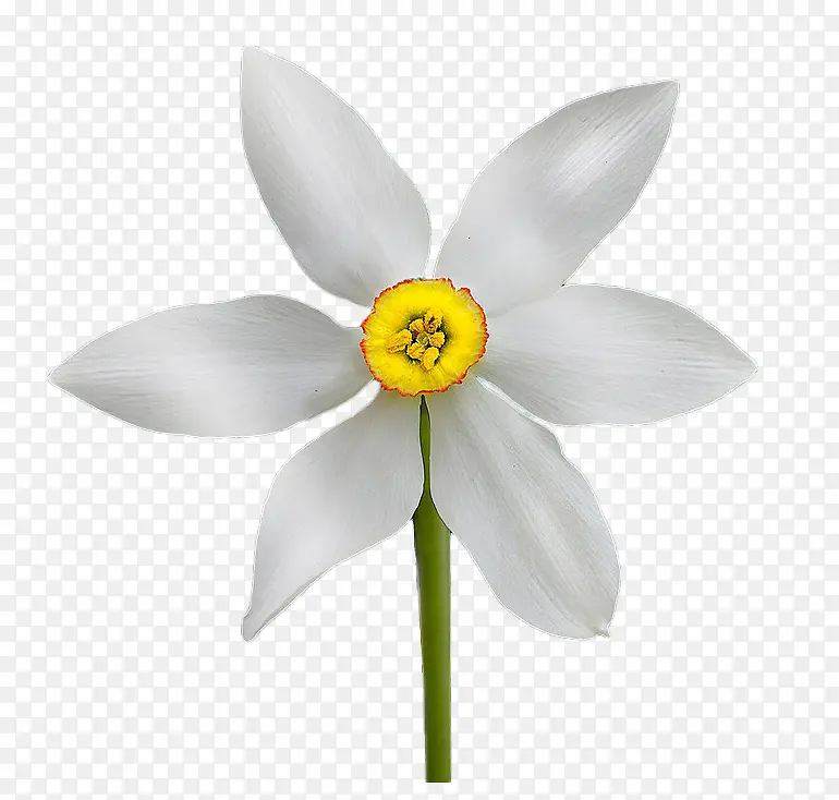 ��ɫС��-������