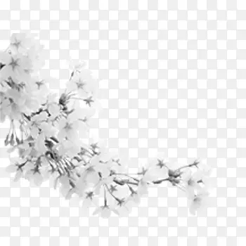 Ʈ������-������