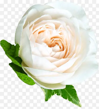 ��ɫ�󻨶�ʵ��-������