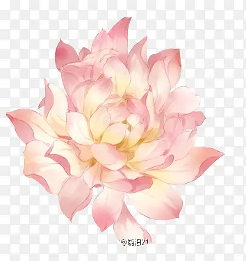 ��ɫ��ɫ����-������