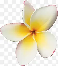 ��ɫ����С������-������