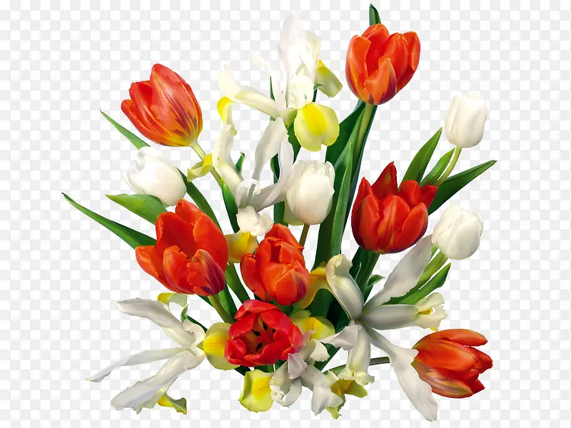 ��ɫ��ɫ����-������