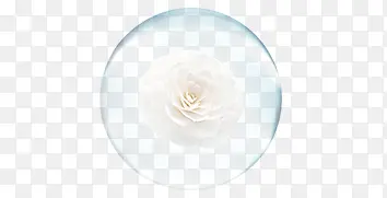 ��ɫ��������-������