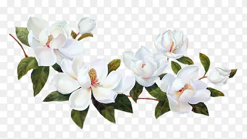 ��ɫ�ɾ�����-������